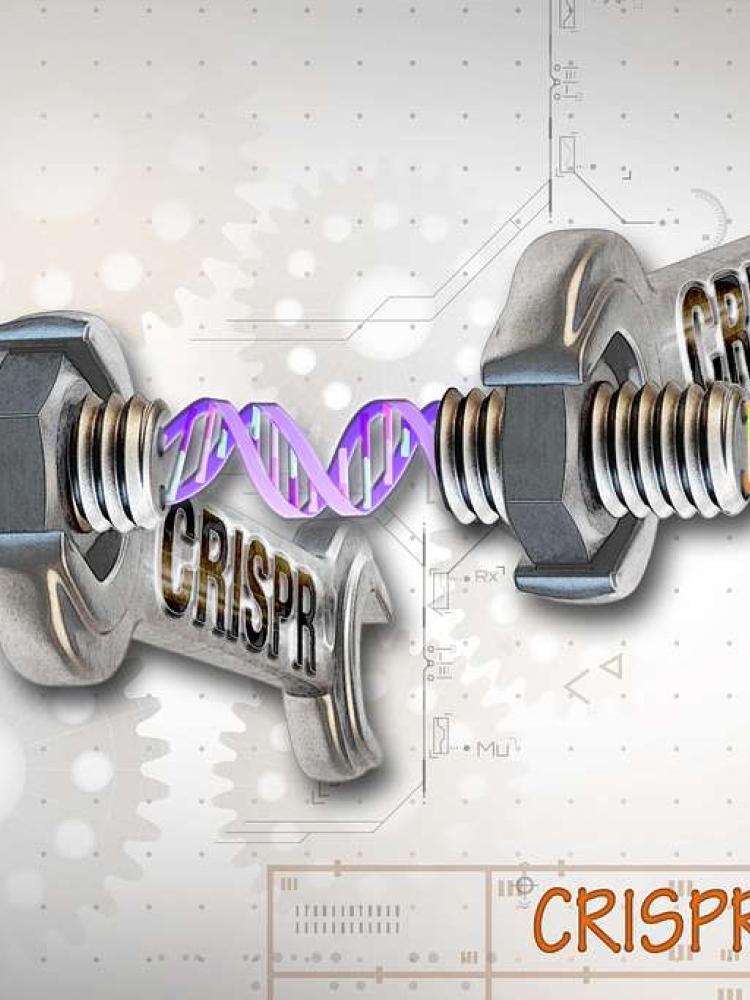 CRISPR